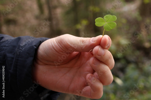 young man holds in his hand a green leaf of clover on the background of the forest, the concept of the Irish holiday St. Patrick's Day photo