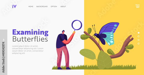 Entomology Landing Page Template. Entomologist Character Search and Study Butterfly Insects in Wild Nature and Fauna