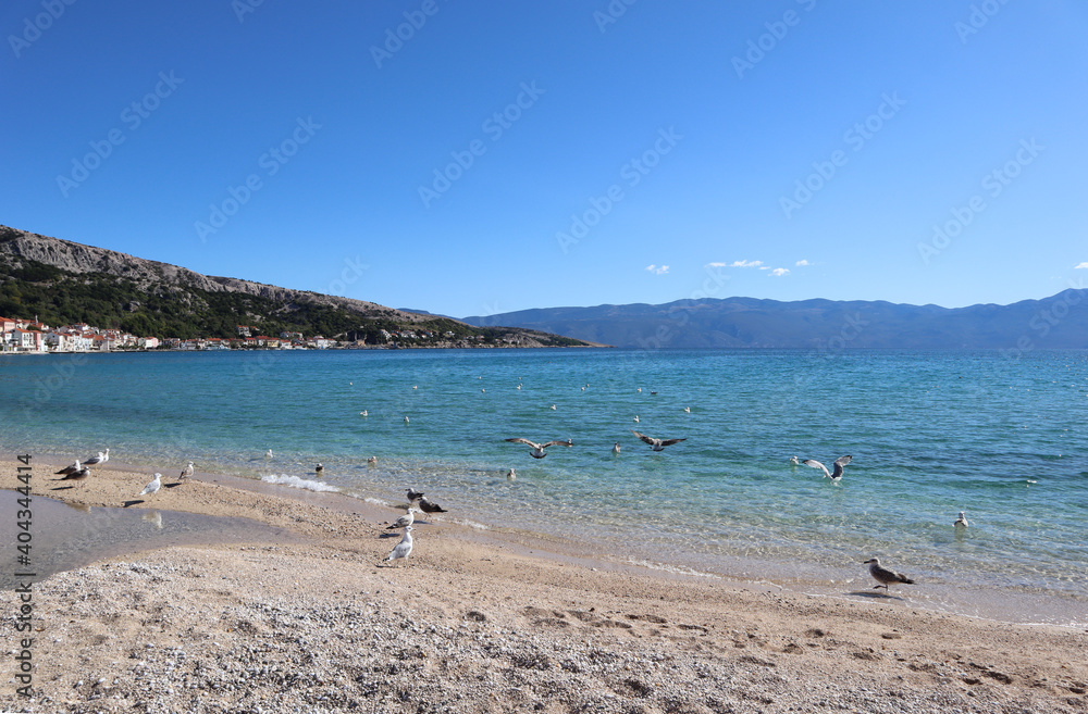 Picturesque sea bay, seagulls on the seashore on a sunny autumn day, Krk island, Croatia.Seascape clear azure water of the Adriatic Sea, seagulls on a pebble beach and mountains on the horizon