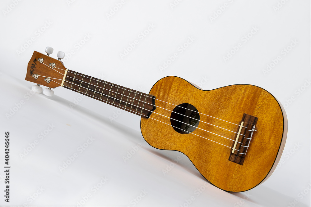 Fototapeta premium Ukulele