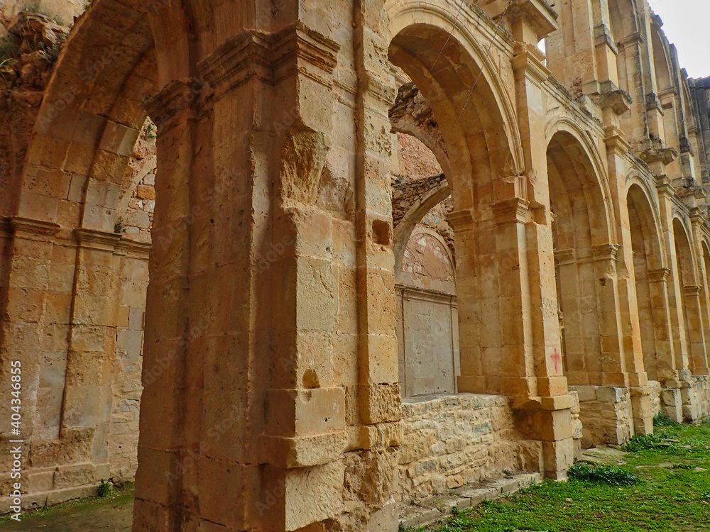 Monasterio Santa María de Rioseco - ruinas - Rioseco Abbey