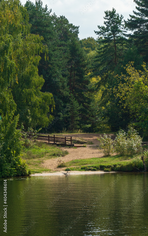 A picturesque sandy meadow in a pine forest on the bank of the river with a wooden staircase going to the left.
