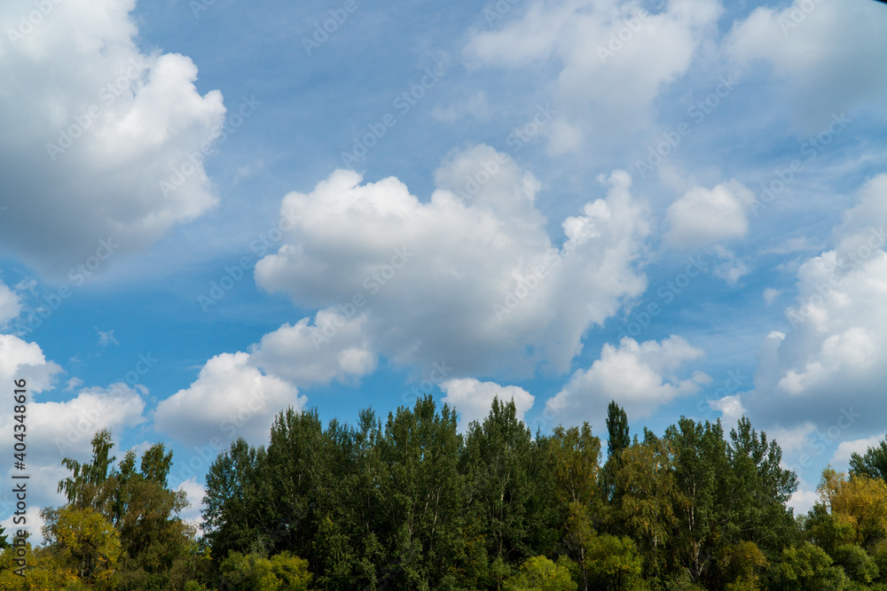 Early autumn, Russian landscape, yellow and green trees under a light blue sky with large clouds Early autumn, Russian landscape, yellow and green trees under a light blue sky with large clouds