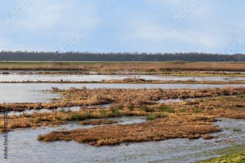 Fototapeta Naklejka Na Ścianę i Meble -  Naturschutzgebiet 