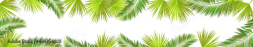 A Long horizontal frame of palm leaves. Hello summer. Vector illustration