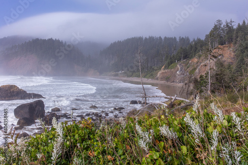 Indian point coast in Oregon state