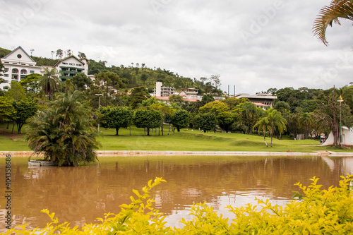 tropical garden