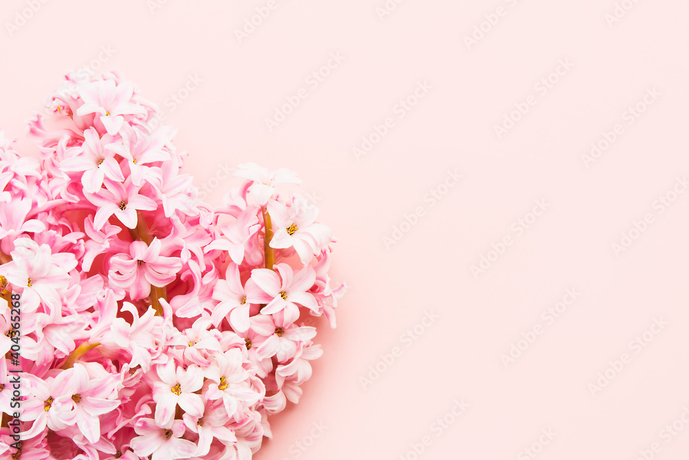 Pink Hyacinths bouquet on pink background. Top view, copy space