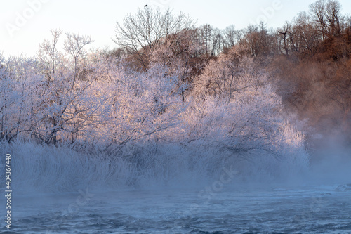 北海道冬の風景 阿寒郡阿寒町の樹氷と気嵐