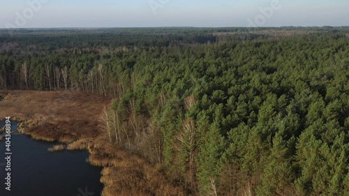 View from the height of the lake Papernya in Belarus. The Nature Of Belarus photo