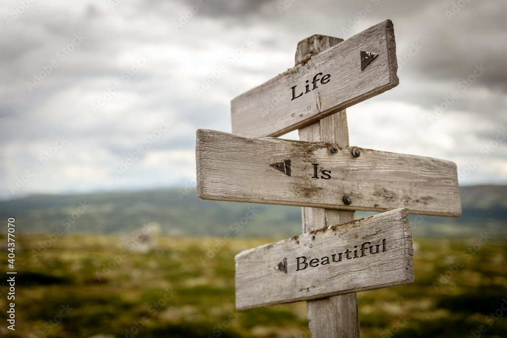life is beautiful signpost outdoors in nature