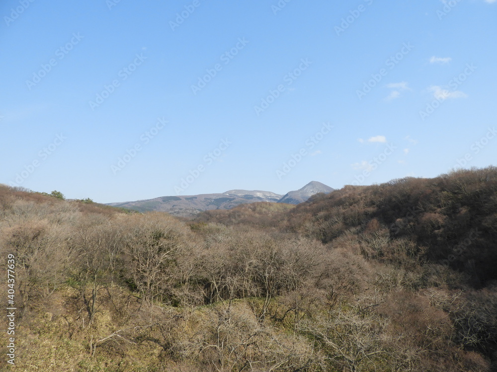 早春の白神山地・青森県深浦町 早春の白神山地・青森県深浦町
