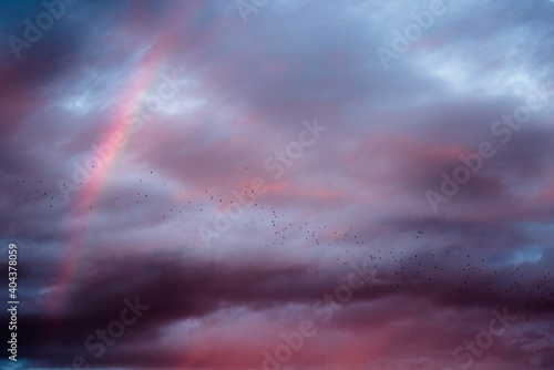 Birds flying towards rainbows