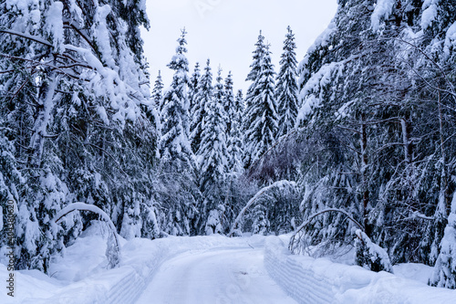 Road after heavy snowfall in a Norwegian forest 