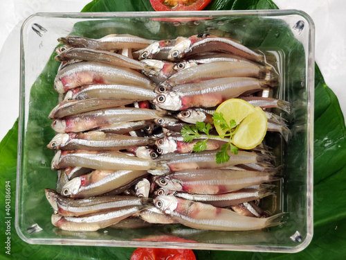 Fresh Anchovy Fish decorated with herbs and lemons on a White Background,Selective Focus. photo