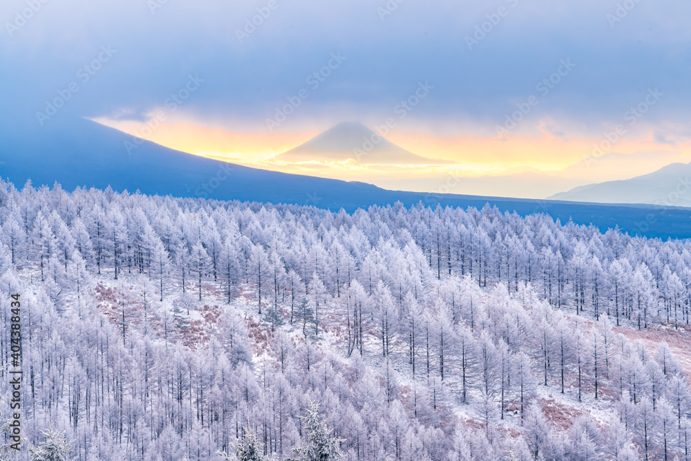 【長野県】ビーナスラインから見る富士山