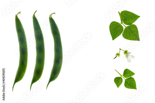 closeup of green runner bean pods with leaves, flowers and copy space in center