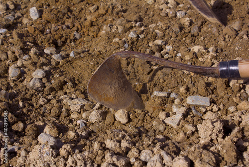 Dirty Homie On the soil background.