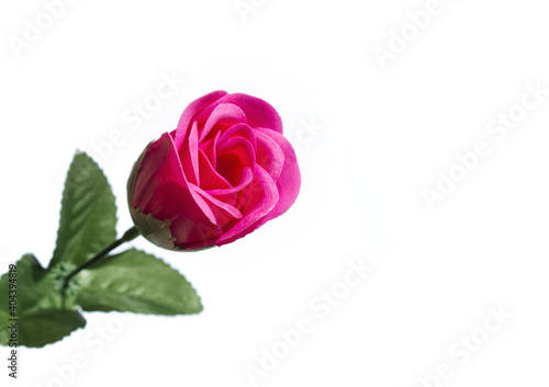 pink rose flower made from soap isolated on white background