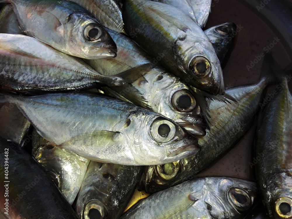 Group of Bigeye scad fishes at the market,  Saltwater fish species in Thailand