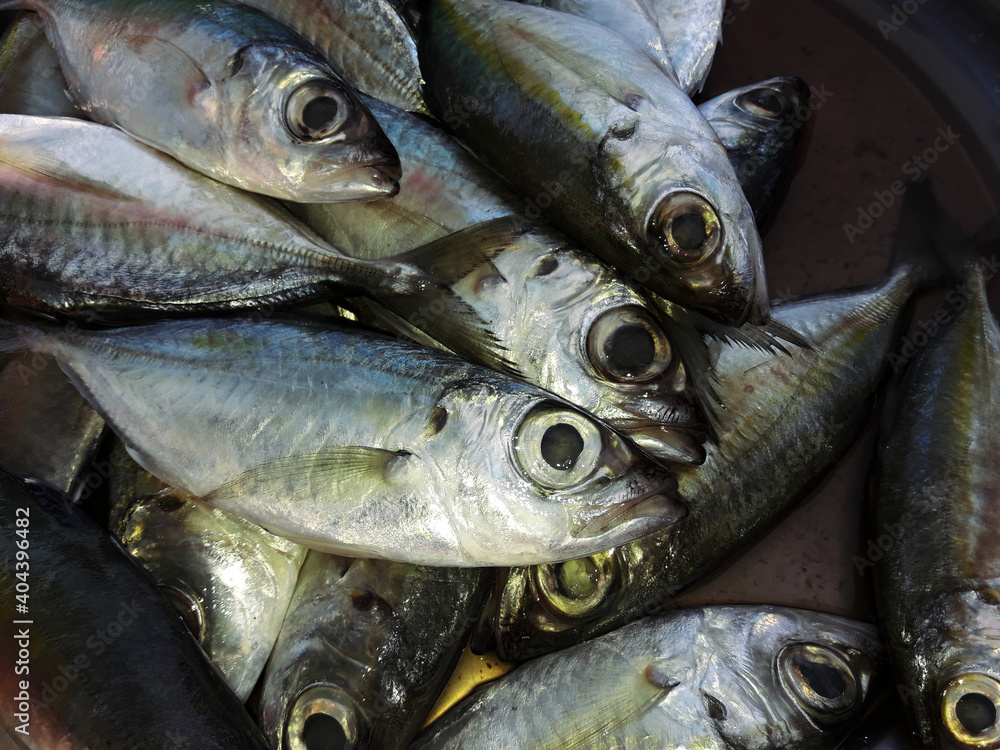 Φωτογραφία Group of Bigeye scad fishes at the market,  Saltwater fish species in Thailand
