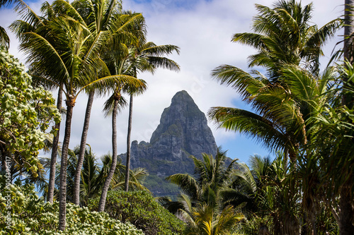 Mt. Otemanu on the beautiful tropical island of Bora Bora in French Polynesia. Many palm trees in the jungle frame the large landmark mountain