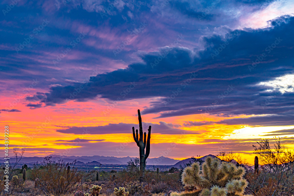 A sunset in the Sonoran Desert in Arizona