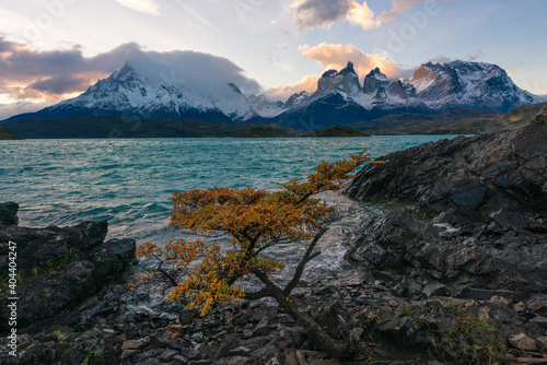 Torres del Paine over the Pehoe lake, Patagonia, Chile. Torres del Paine National Park seen at dawn.