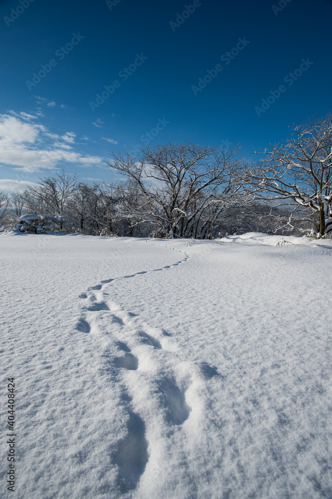 雪上の足跡