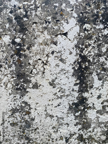 Mold texture on a large stone, block