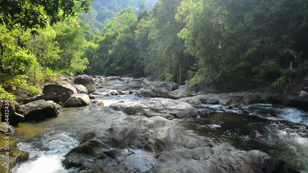 Panning shot of stream water flows from the mountain through the rocks among tropical forest under sunlight in the morning. The creek rapid flowing from waterfall in Ton Pariwat Wildlife Sanctuary. Panning shot of stream water flows from the mountain through the rocks among tropical forest under sunlight in the morning. The creek rapid flowing from waterfall in Ton Pariwat Wildlife Sanctuary.