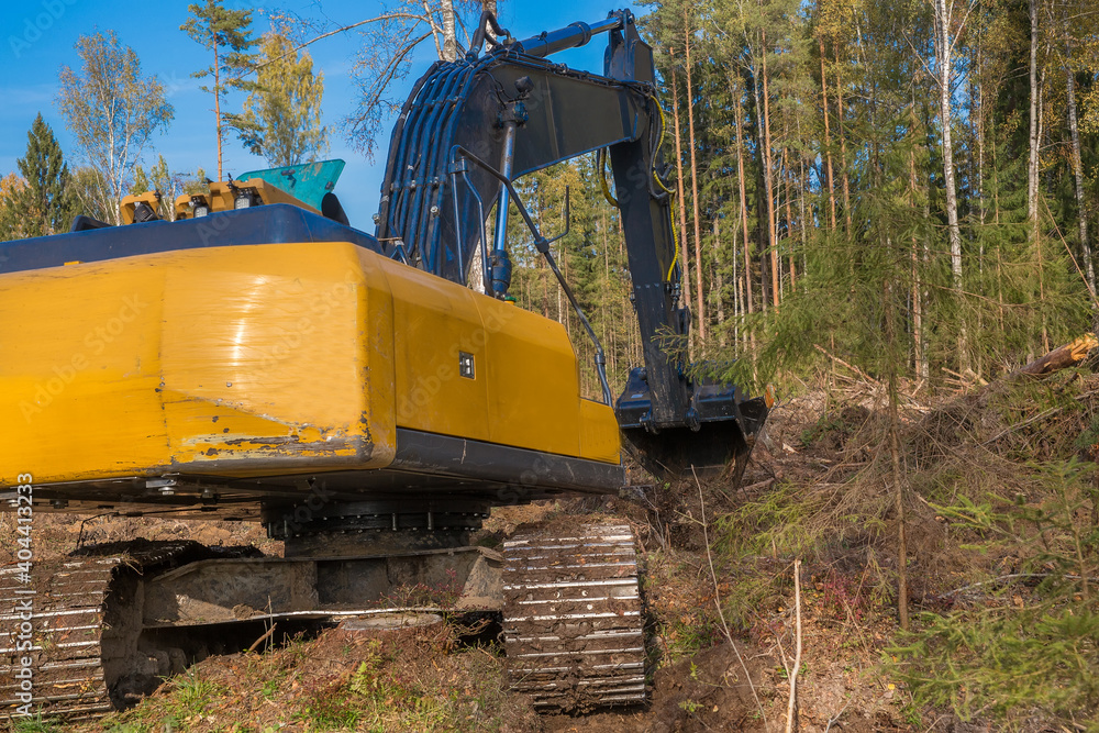 A large excavator works at the site of a felled forest. Heavy construction machinery works in the forest. Construction work in the forest area.