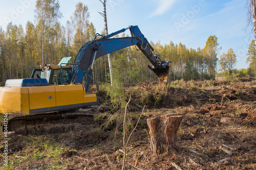 Obraz na plátně A large excavator works at the site of a felled forest