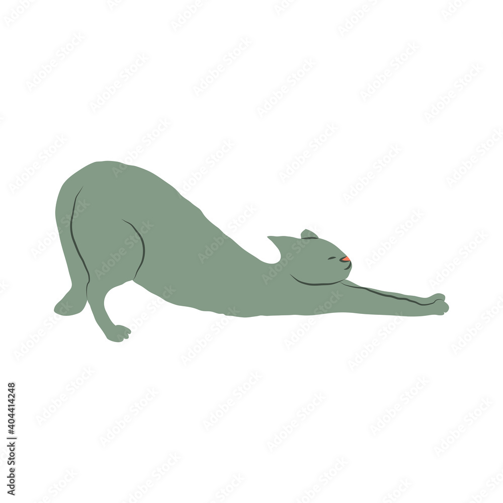Fototapeta premium Cosy hand drawn cat. Stretching. Vector illustration. Editable lines. Colored.