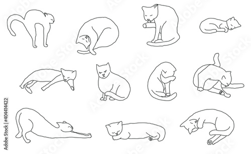 Fototapeta Naklejka Na Ścianę i Meble -  Cosy set cat hand drawn. Vector illustration. Editable lines.