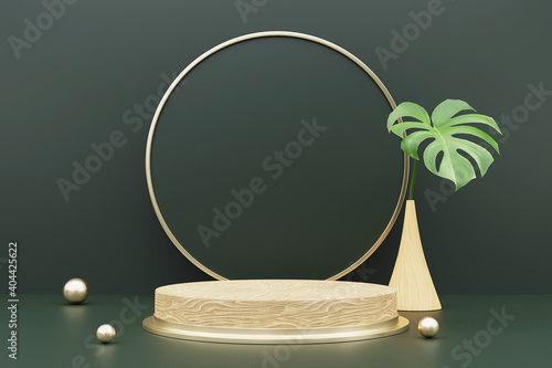 3d rendering of wood podium for product display with monstera leaves.