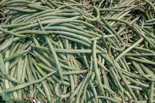 green french beans group background many bean vegetable organic food
