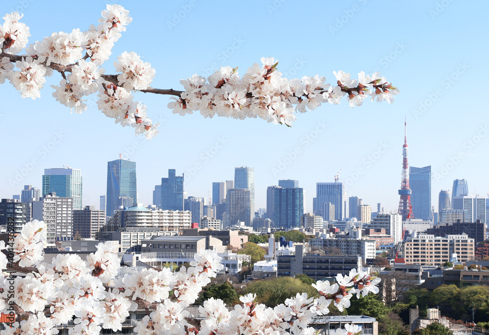 Obraz na płótnie Aerial view on Tokyo, Japan