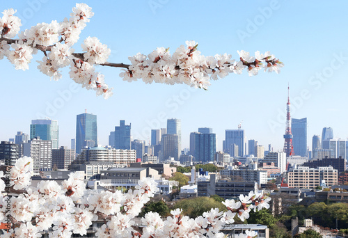 Obraz na płótnie Aerial view on Tokyo, Japan
