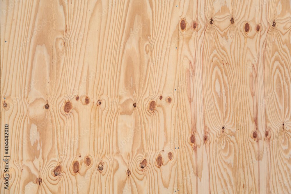 Photography Birch wood background