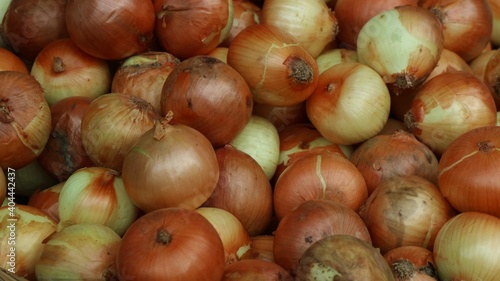 bunch of white onions in traditional market