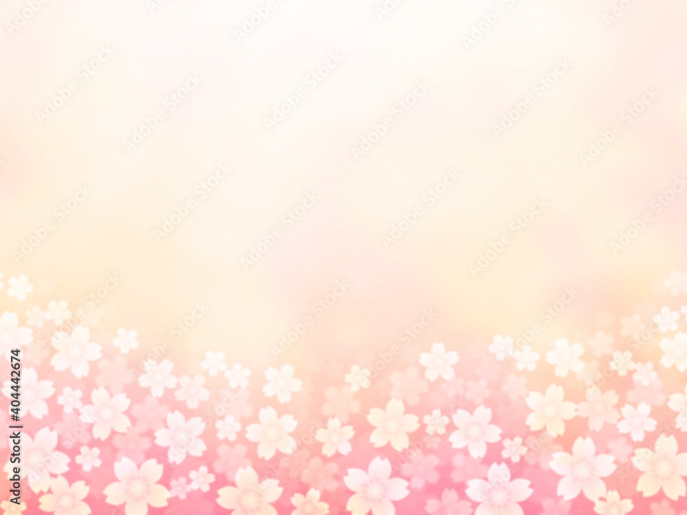 淡い桜の花が咲き広がるイラスト no.01