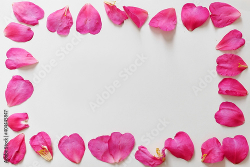 Wallpaper Mural 花びら　フレーム Torontodigital.ca