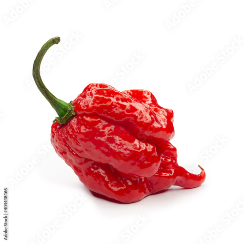 Carolina Reaper, the hottest chile pepper Capsicum chinense, whole ripe pod, isolated on white background. Superhot or extremely hot chile pepper photo