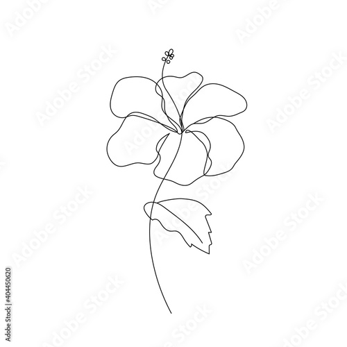 Hibiscus flower in one line art drawing style. Black line sketch on white background. Vector illustration