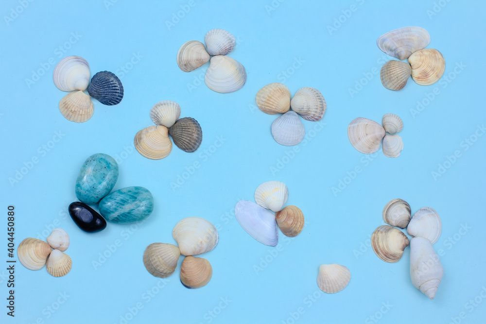 seashells, white, blue and black stones on a blue background. amazonite and sea pebbles