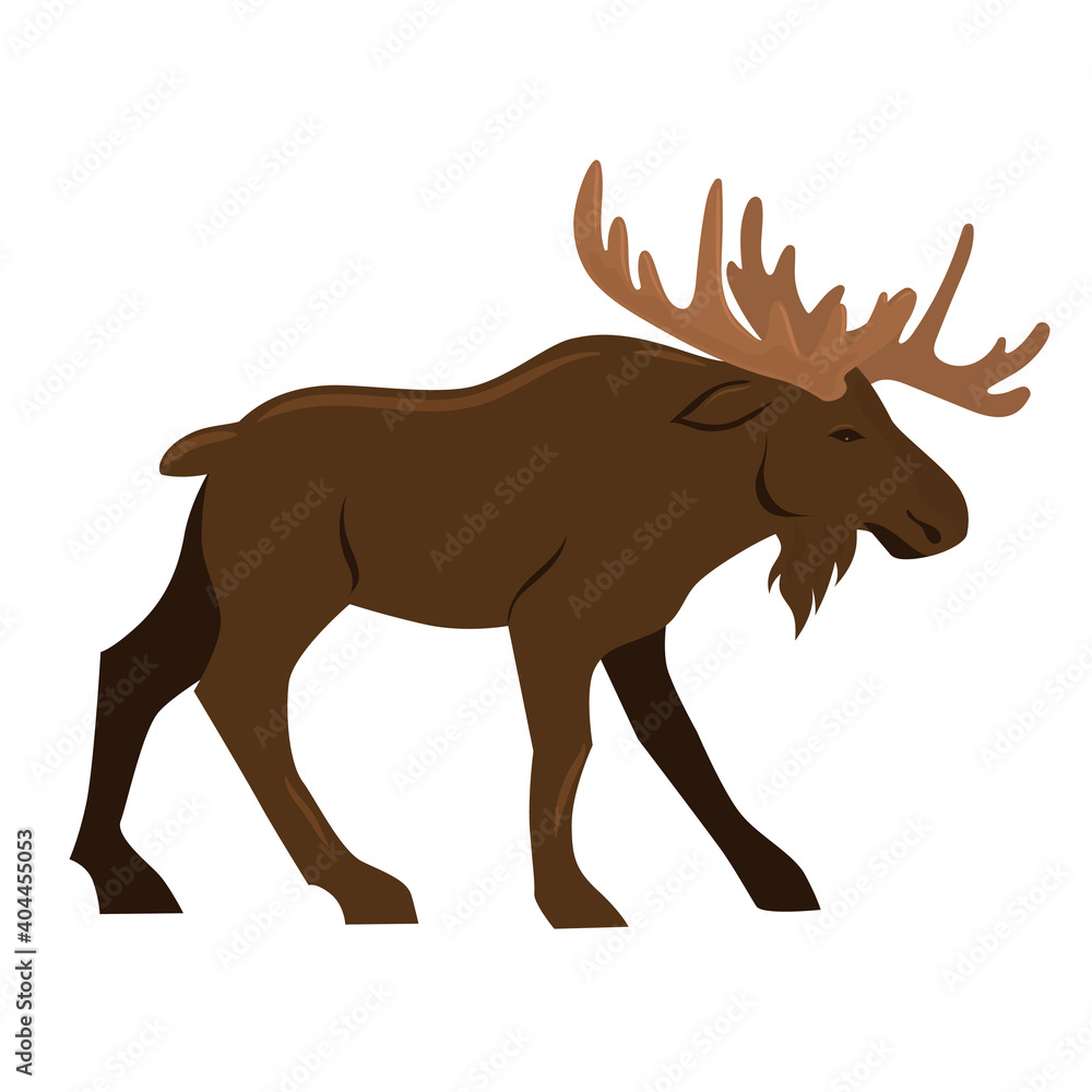 Elk isolated on a white background. Vector graphics. Elk isolated on a white background. Vector graphics.