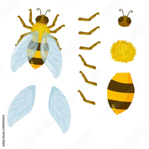 bee in cartoon style. drawing broken into parts for animation. bumblebee or wasp, yellow and brown color with blue wings vector illustration isolated on white background