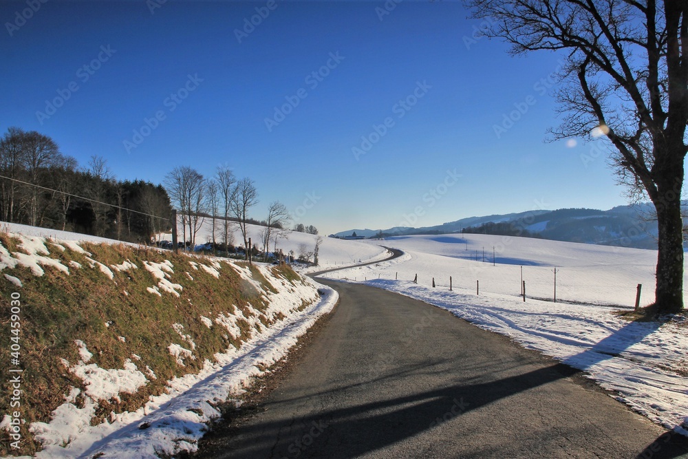 L'hiver dans les Monédières (Corrèze)