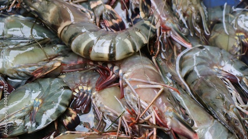 Photography fresh raw shrimp at traditional asian market